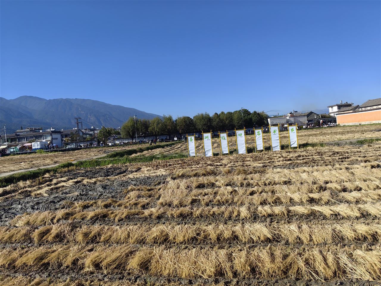 内蒙古自治区农牧厅第四调研组赴巴彦淖尔市开展春季生产指导服务